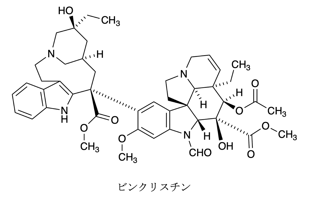 解説画像